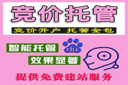 SEM托管成功案例：揭秘高效广告投放策略